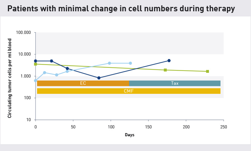 Constant number of cells in adjuvant therapy